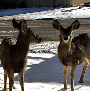 Meet your Posher, Chloe